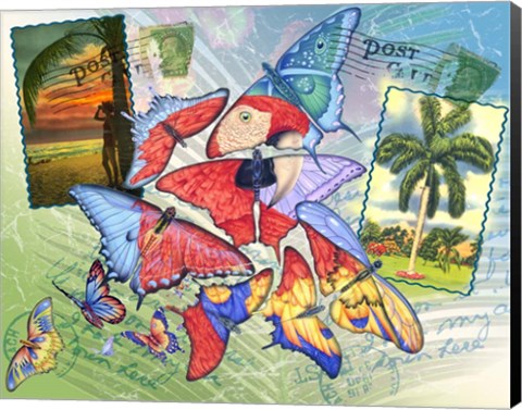 Framed Butterfly Postcards Print
