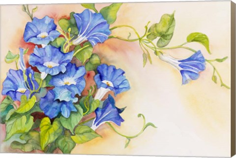 Framed Morning Gloria Vine Stretching Print