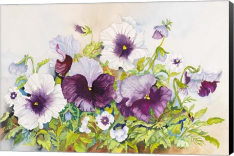 Framed Early Pansies Print