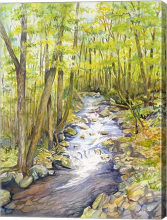 Framed Running Brook Print