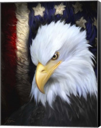 Framed Patriot Press Print