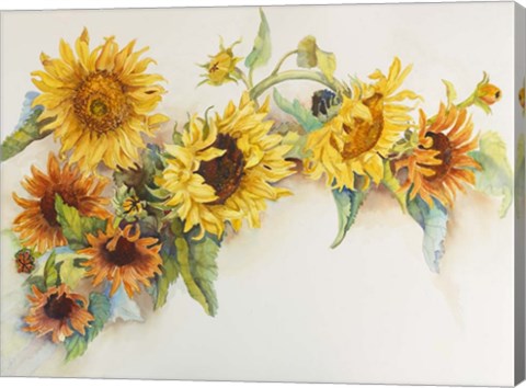 Framed Arch of Sunflowers Print