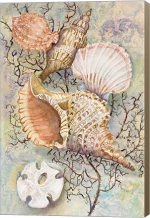 Framed Jewels of the Sea Print
