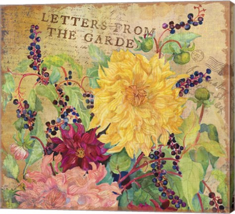 Framed Letters from the Garden III Print