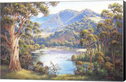 Framed Macleay Valley Morning Print
