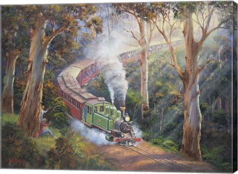 Framed Puffing Billy In Sherbrook Forest Print