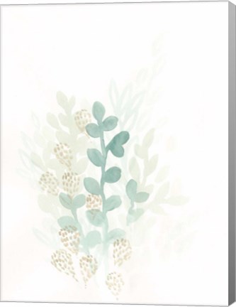 Framed Sprout Flowers II Print