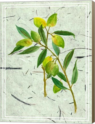 Framed Olives on Textured Paper I Print