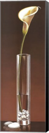 Framed Calla Haiku Print