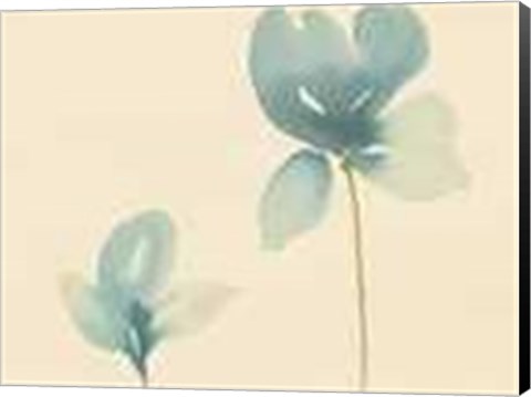 Framed Fleurs Bleues Et Ornements II Print