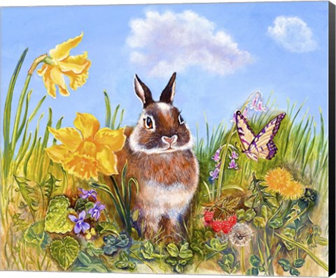 Framed Bunny In Meadow Print
