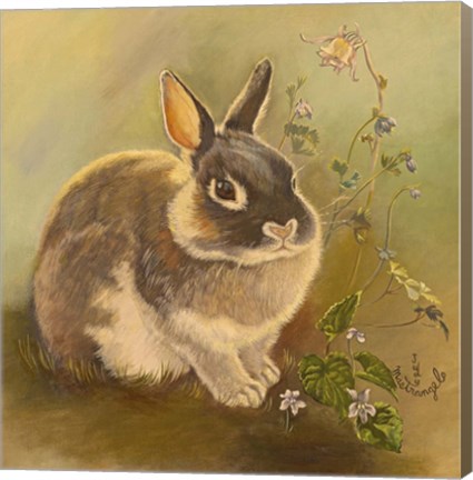 Framed Rabbit In Columbine Print