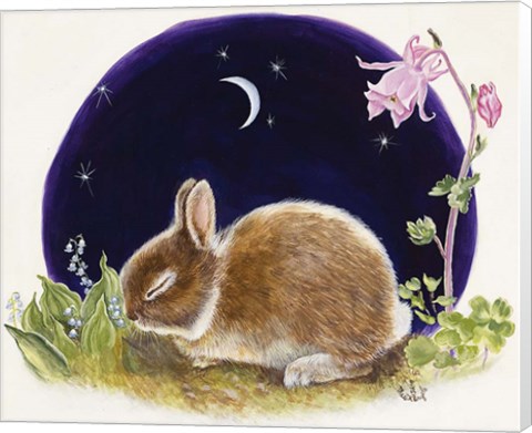 Framed Sleeping Bunny Print