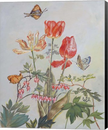 Framed Bleeding Hearts And Tulips Print