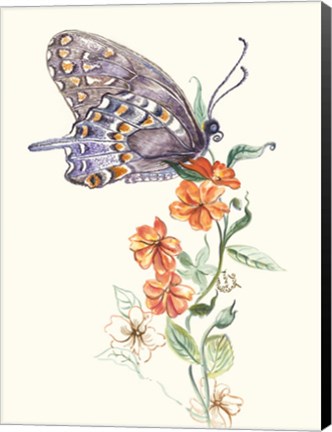 Framed Butterfly Design 1 Print