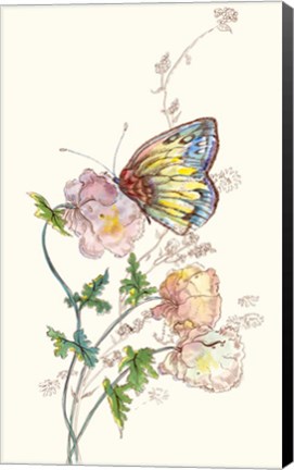 Framed Butterfly Design 2 Print
