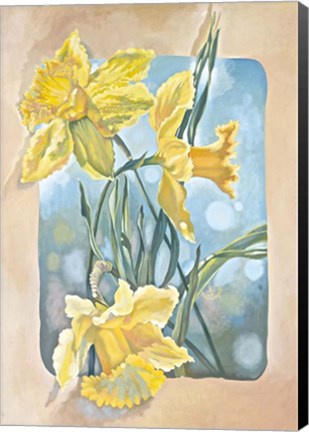 Framed Daffodils Print