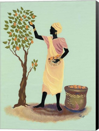 Framed Picking Mangos Print