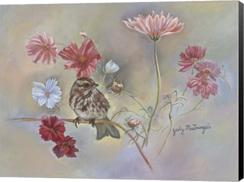 Framed Sparrow In Cosmos Flowers Print