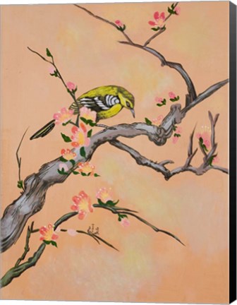 Framed Bird In Cherry Tree Print