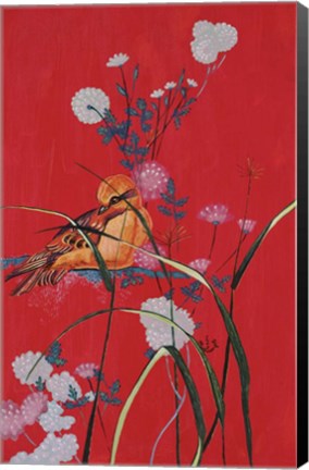 Framed Bird On Red Print