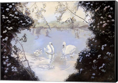 Framed Swan Lake Print