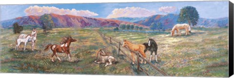 Framed Horses With Fence In Pasture Print