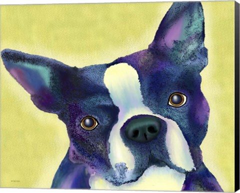Framed Boston Terrier 1 Print