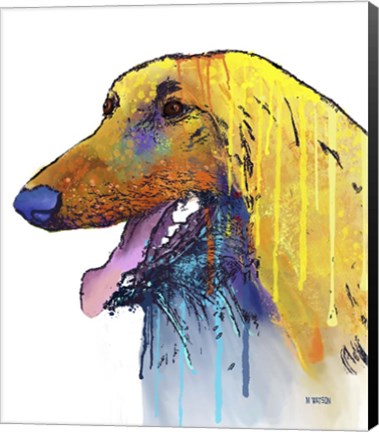 Framed Afghan Hound 2 Print