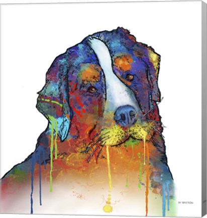 Framed Bernese Mountain Dog Print