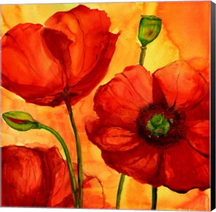 Framed Coquelicots II Print