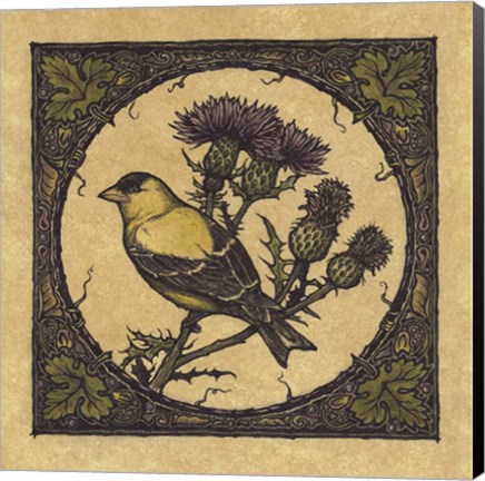 Framed Apple Grossbeak Bird Print