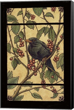 Framed Apple Raven Print