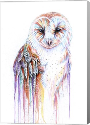 Framed Barred Rainbow Owl Print