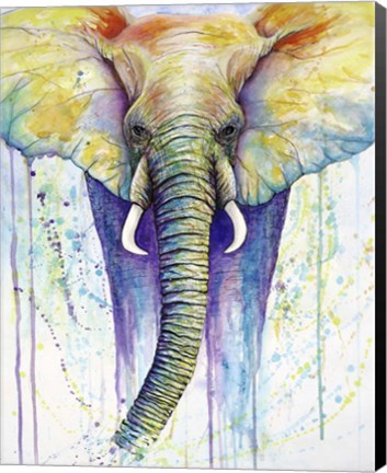 Framed Elephant Colors Print