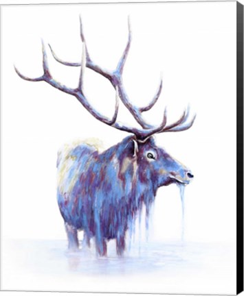 Framed Elk in Water Print