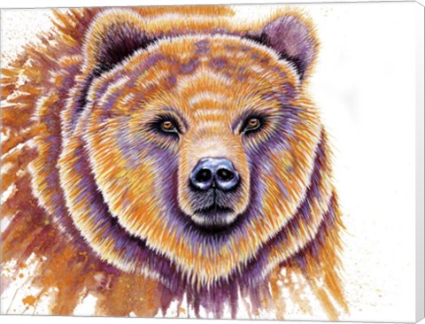 Framed Grizzly Bear Print
