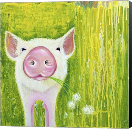 Framed Pig Print