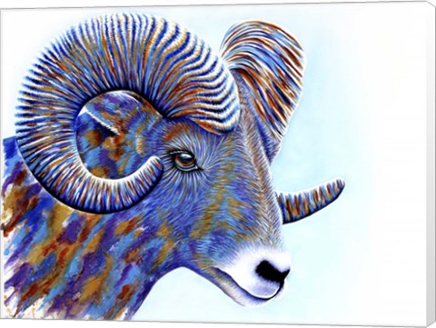 Framed Ram Print