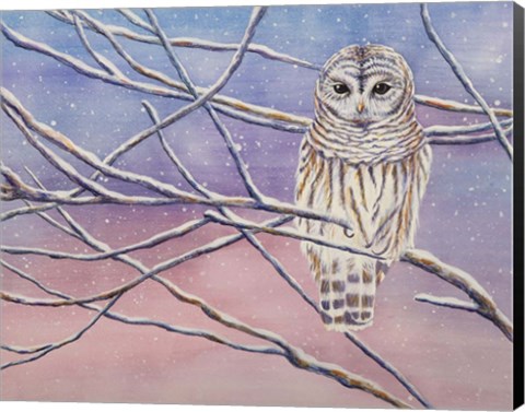 Framed Snowy Barred Owl Print