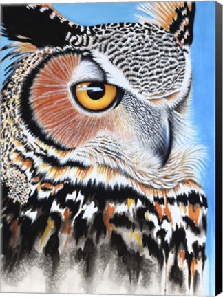 Framed Great Horned Owl Eye Print