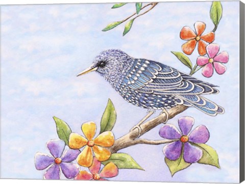 Framed Starling Bird with Flowers Print
