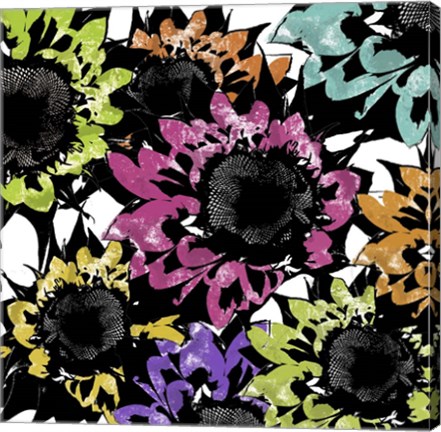 Framed Sunmesh II Print