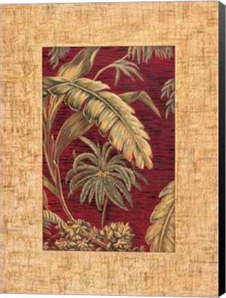 Framed Samuel Blanco - Tropical II Size 19.75x23.75 Print