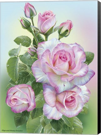 Framed Morning Roses Print