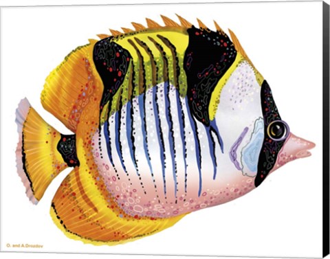 Framed Fish 1 Red-Yellow Print