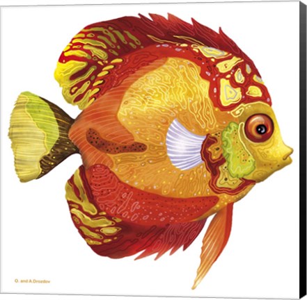 Framed Fish 3 Red-Yellow Print