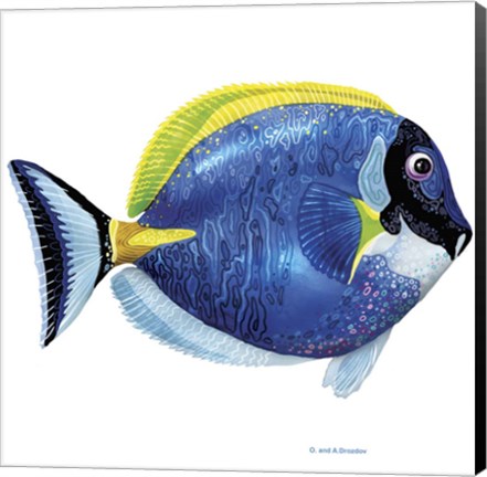 Framed Fish 4 Blue-Yellow Print