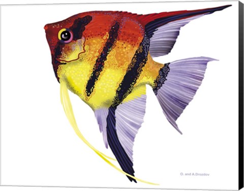 Framed Fish 4 Red-Yellow Print