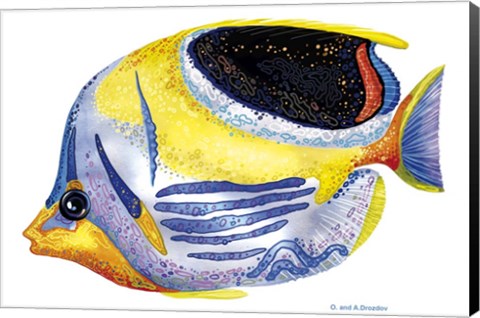 Framed Fish 5 Blue-Yellow Print